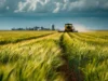 Чем оборудование Murska лучше для обработки зерна